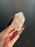 Guava