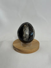 Septarian Egg