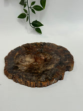 Petrified Wood slab