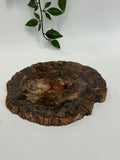 Petrified Wood slab