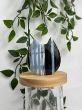 Cat head - Blue Opal (Processed)