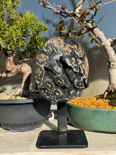 Luxury - Amethyst with Jaspis from Uruguay