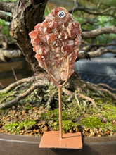 Red Dragon Lemurian - Cluster (167)