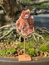 Red Dragon Lemurian - Cluster (168)