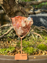 Red Dragon Lemurian - Cluster (169)