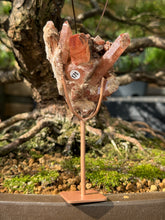 Red Dragon Lemurian - Cluster (171)