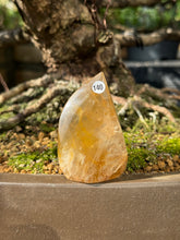 Golden healer - Flame (140)