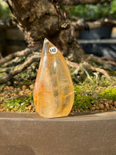 Golden healer - Flame (142)