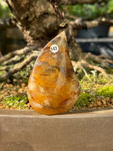 Golden healer - Flame (143)