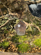 Garden Quartz - Freeform (151)