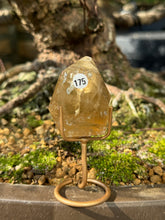 Citrine - Freeform (175)