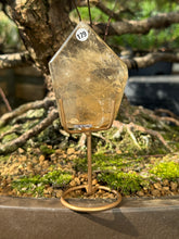 Citrine - Freeform (179)