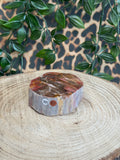 Versteend hout