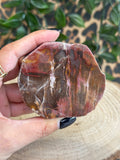 Versteend hout