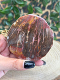 Versteend hout