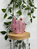 Cat head - Rhodonite